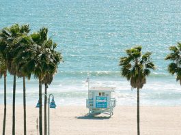 Venice Beach, Los Angeles: An Insider’s Guide to the L.A. Neighborhood