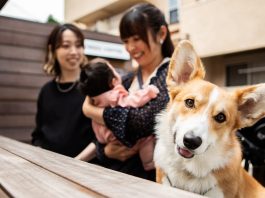 The ‘Fur Baby’ Life Comes With A Truth Most People Don’t Want To Admit