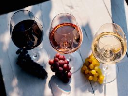 The Wine-Pairing Myth Beginners Need To Forget